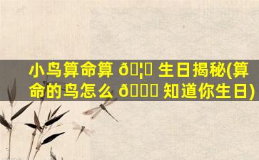 小鸟算命算 🦆 生日揭秘(算命的鸟怎么 🐝 知道你生日)